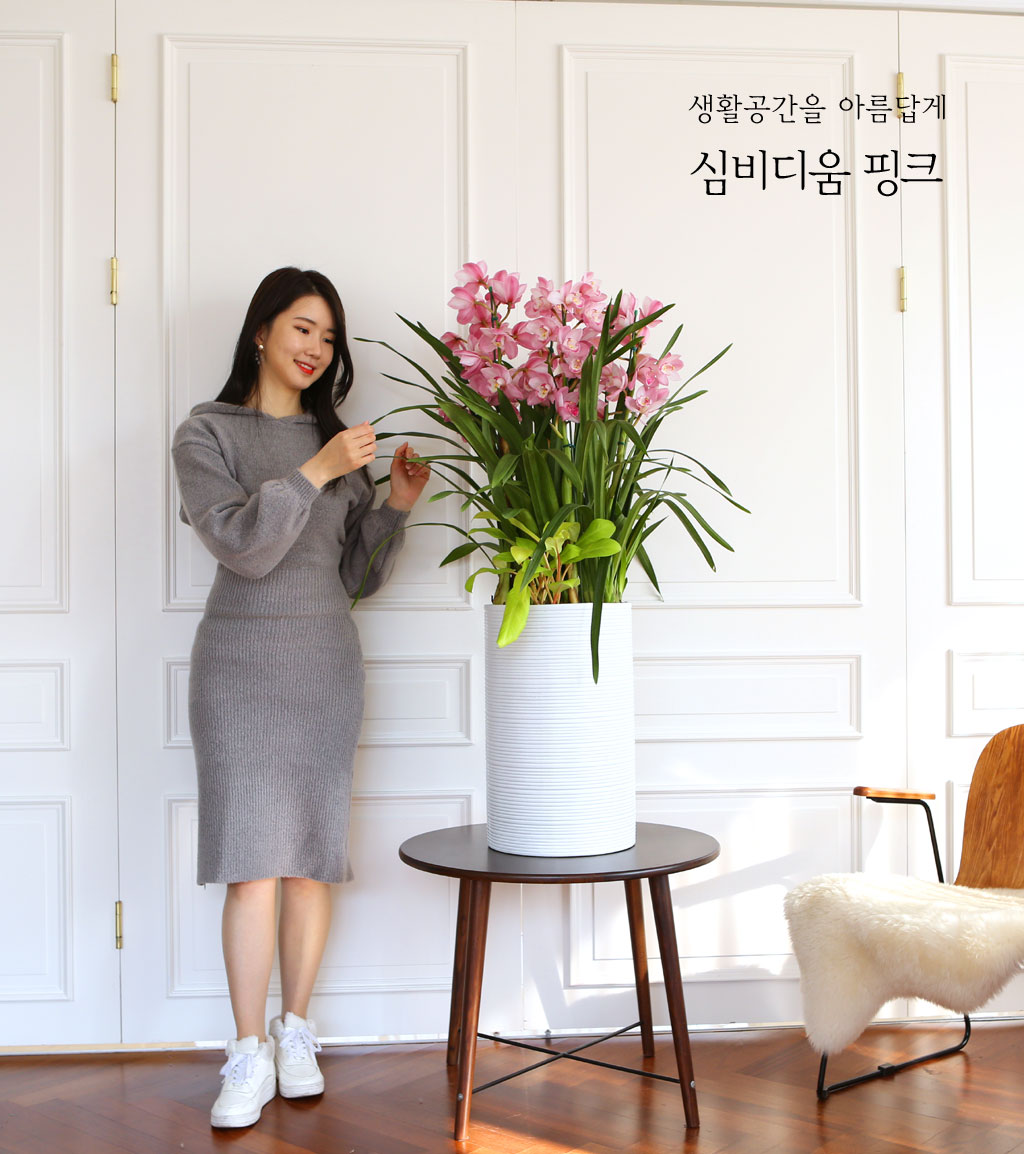 [] Ȱ Ƹ - ɺ ũ ()  ɹ