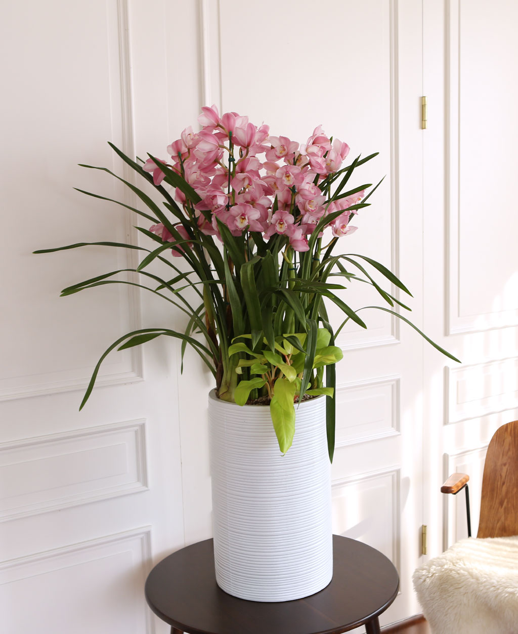 [] Ȱ Ƹ - ɺ ũ ()  ɹ