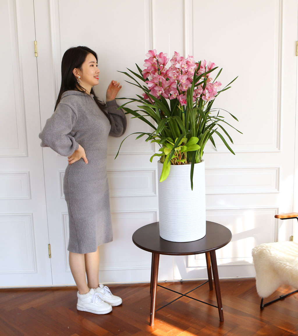 [] Ȱ Ƹ - ɺ ũ ()  ɹ