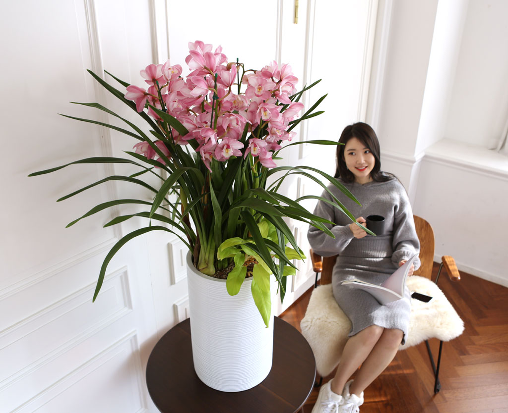 [] Ȱ Ƹ - ɺ ũ ()  ɹ