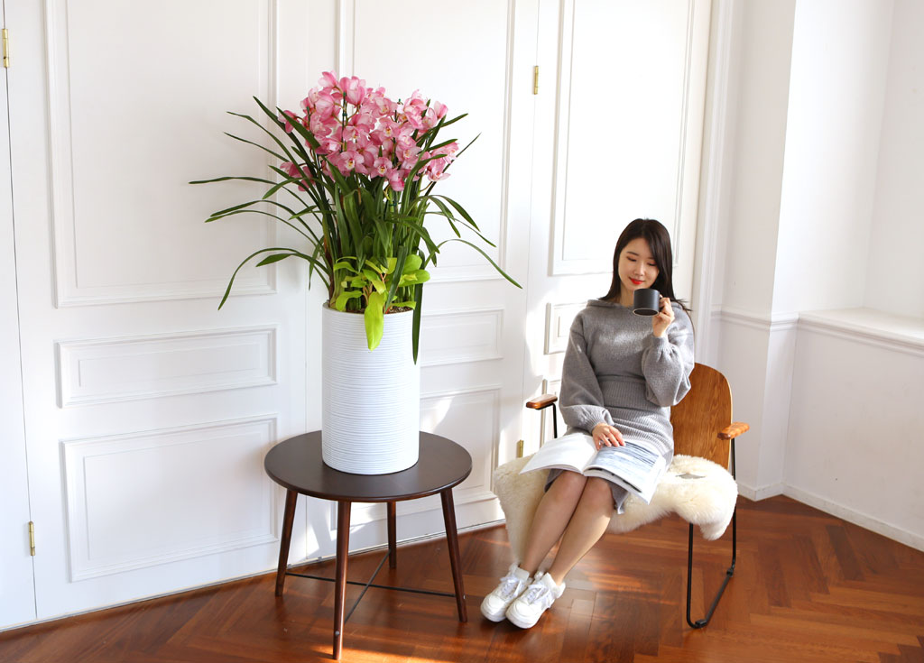 [] Ȱ Ƹ - ɺ ũ ()  ɹ