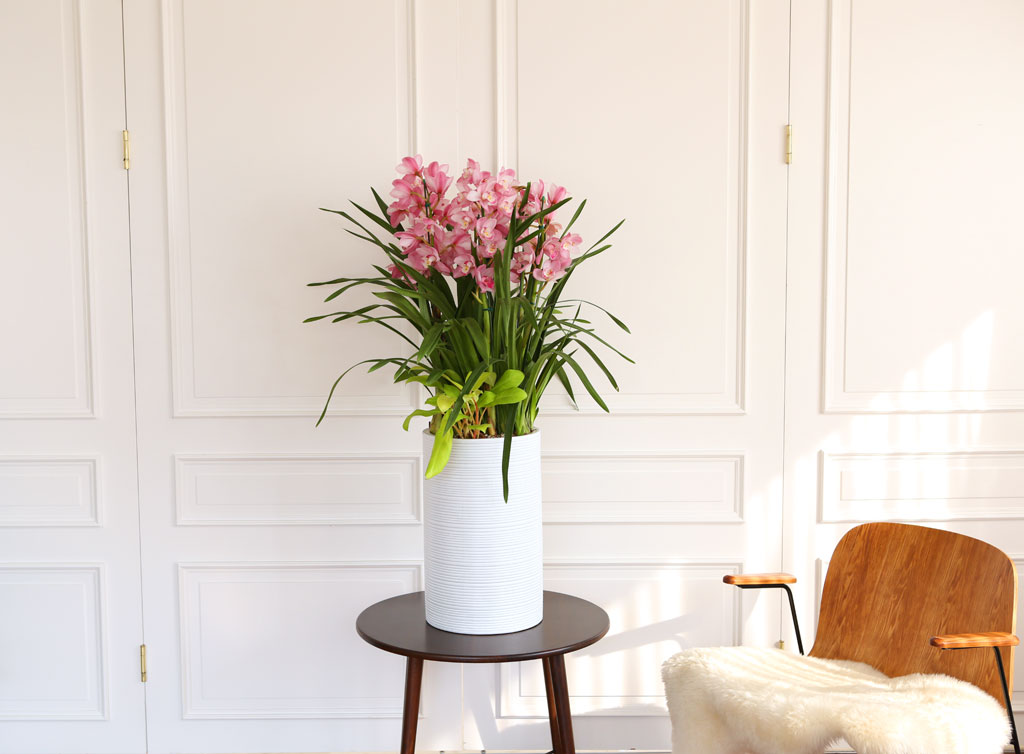 [] Ȱ Ƹ - ɺ ũ ()  ɹ