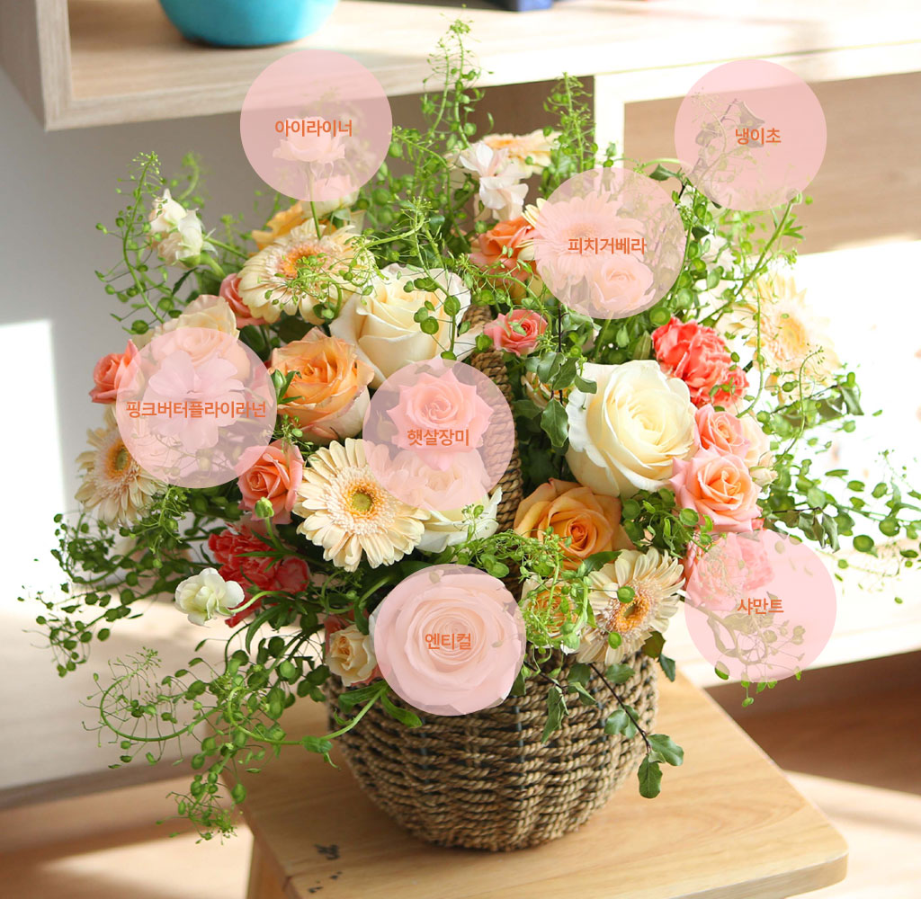 [,ǹ]spring & sweet  ɵ    ɹ