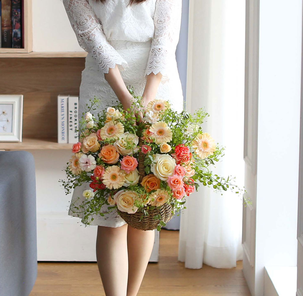 [,ǹ]spring & sweet  ɵ    ɹ