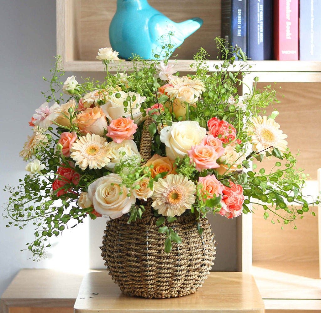 [,ǹ]spring & sweet  ɵ    ɹ