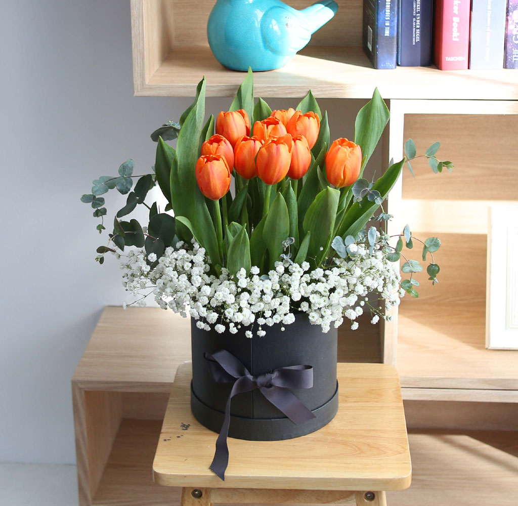 [����,�����ǹ��] spring & sweet  ƫ�� ���� �ɹ��