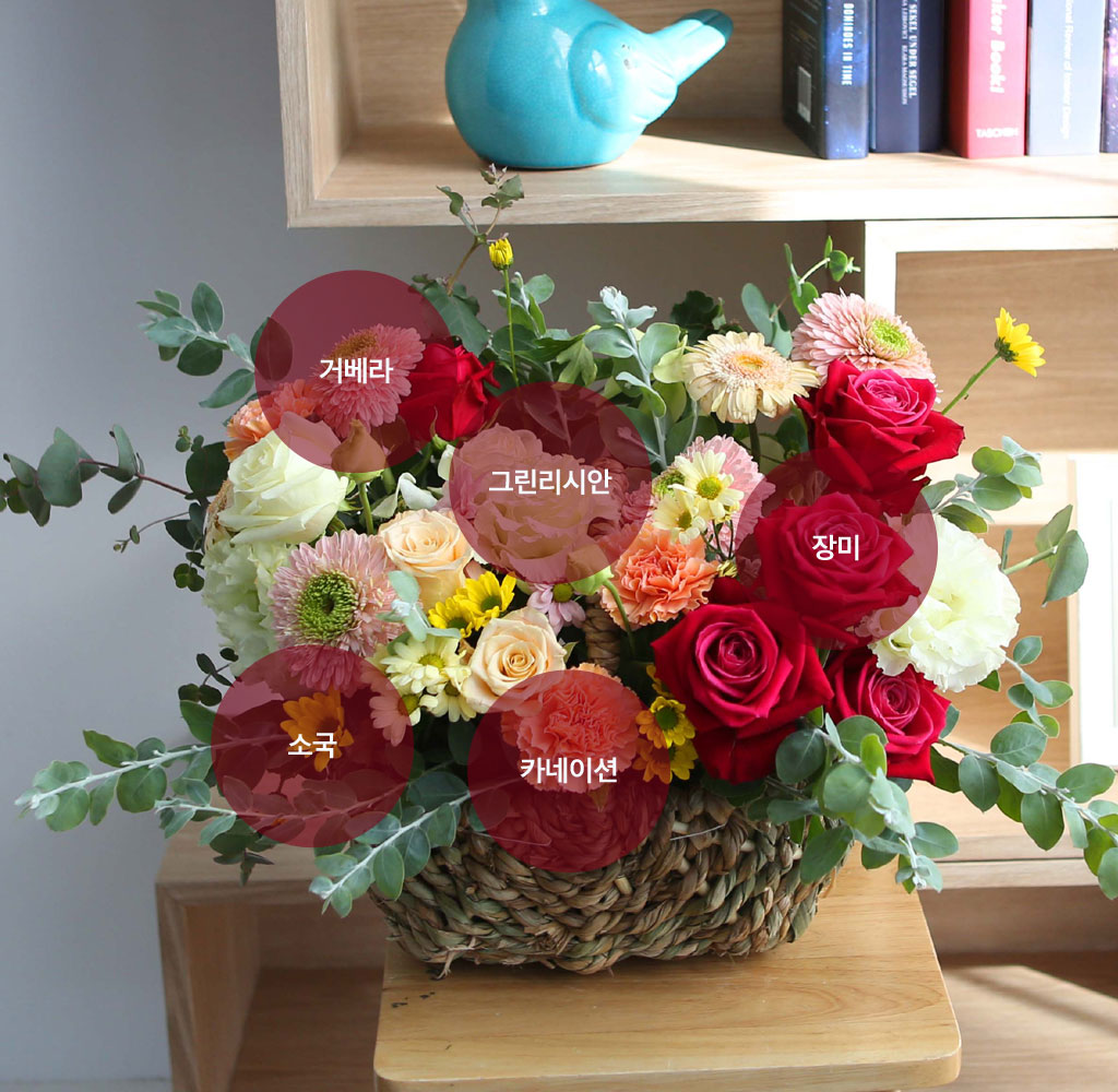 [,ǹ] spring & sweet     ɹ