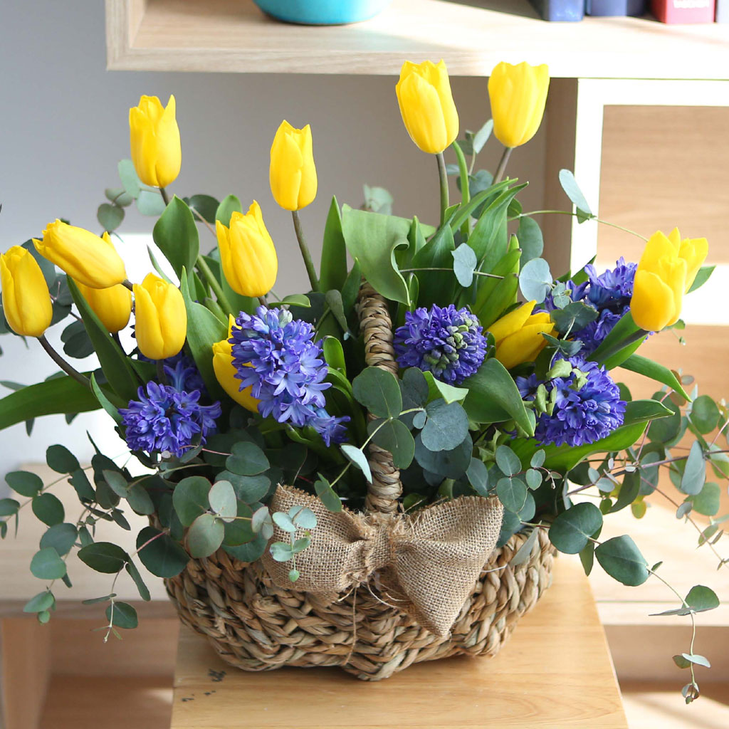 [,ǹ] spring & sweet  ƫ̶ ߽Ž  ɹ