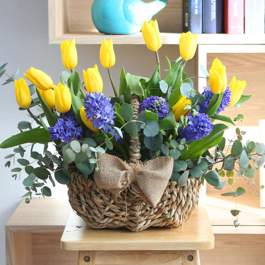 [,ǹ] spring & sweet  ƫ̶ ߽Ž  ɹ