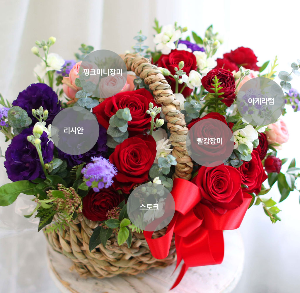 Spring & Sweet Blooming Day