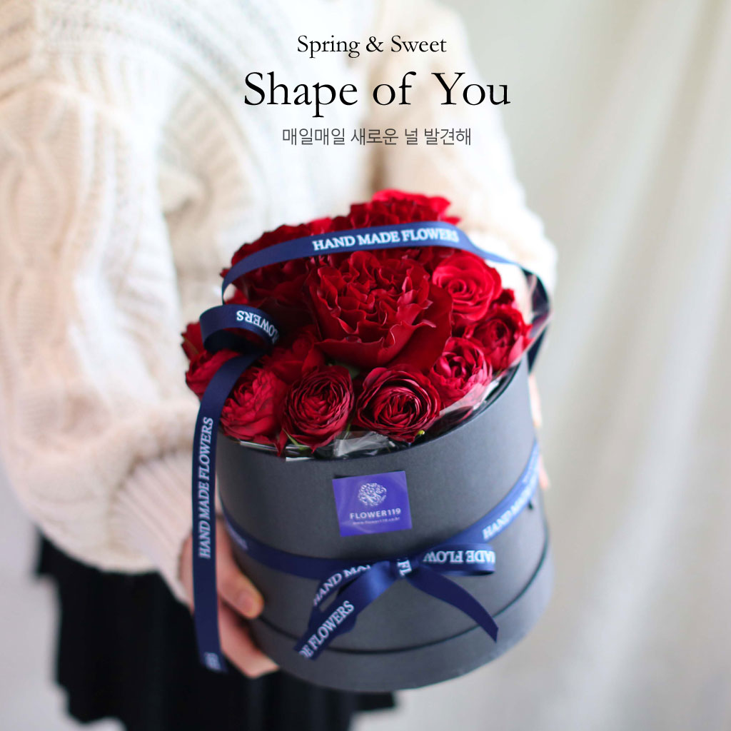 Spring & Sweet  Shape of you  ɹ