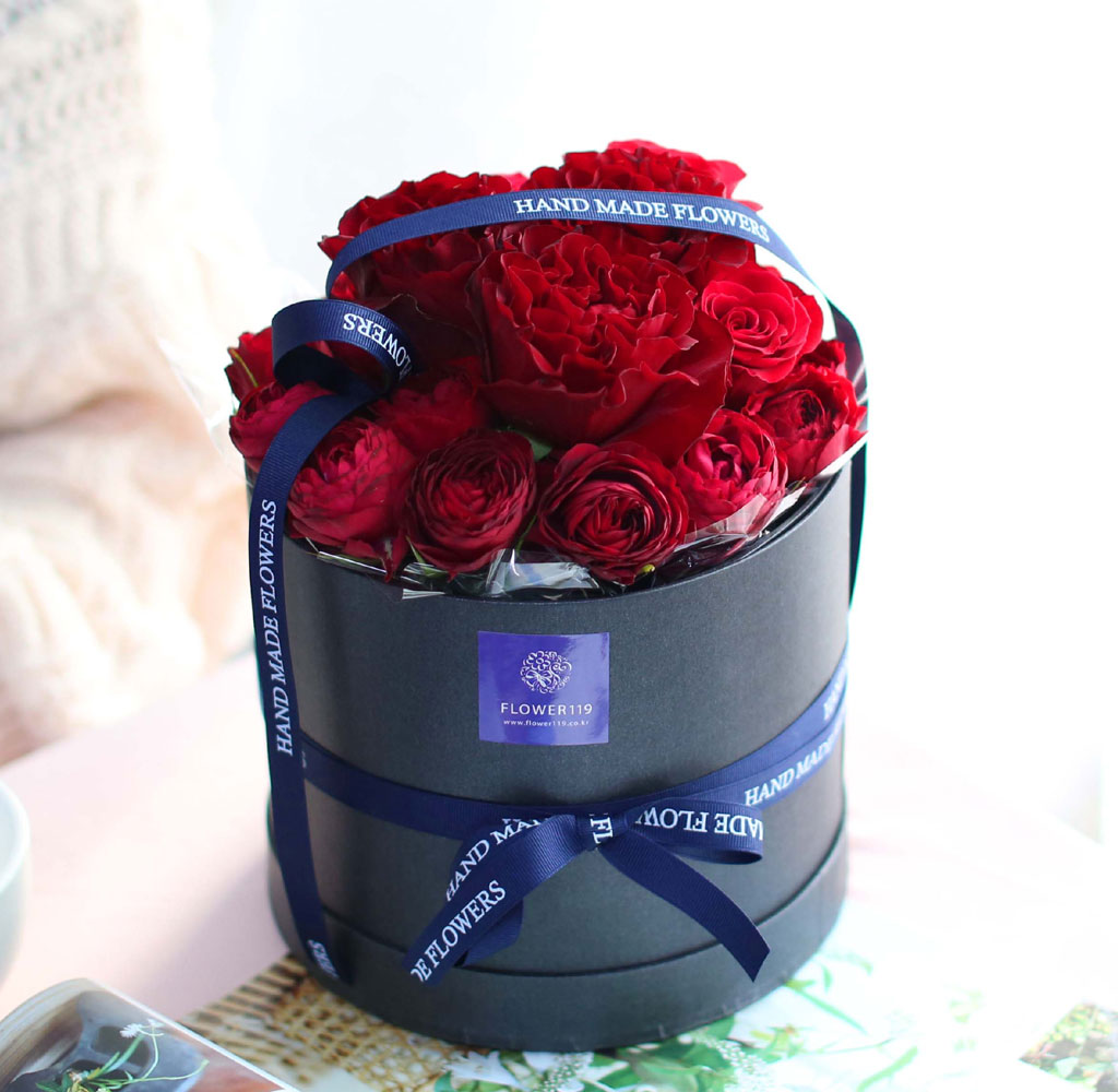 Spring & Sweet  Shape of you  ɹ