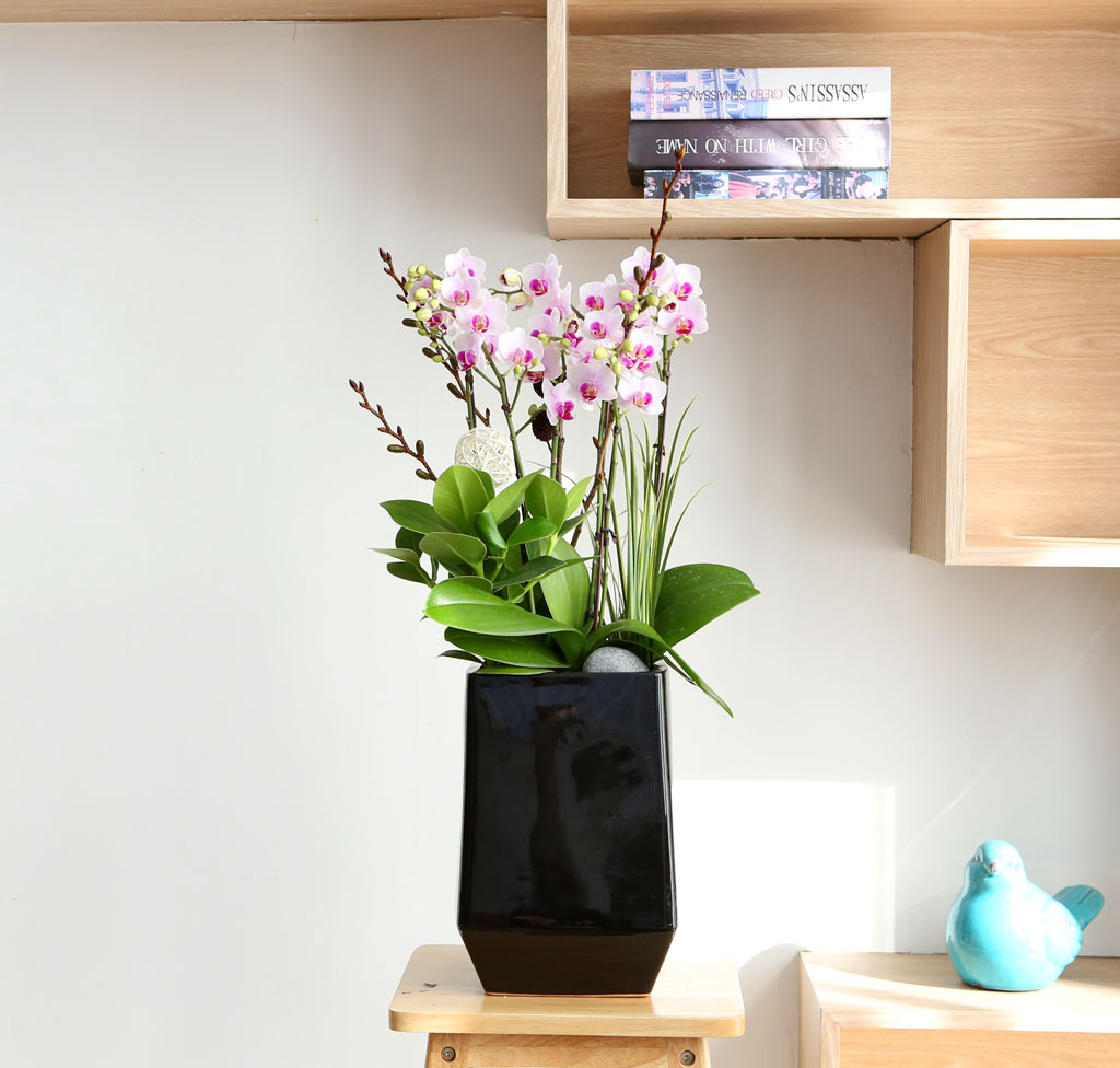 Office & Nature ŭ ȣ Ʋ  ɹ