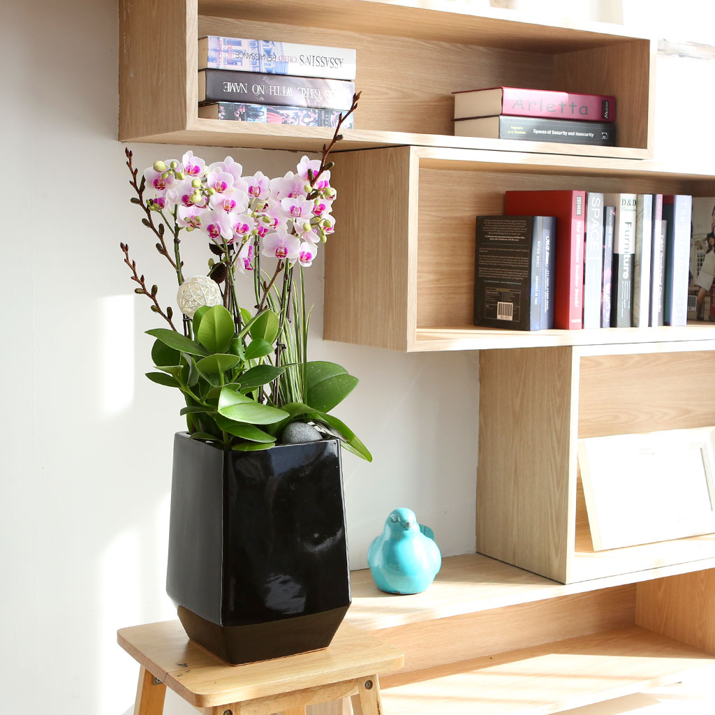 Office & Nature ŭ ȣ Ʋ  ɹ