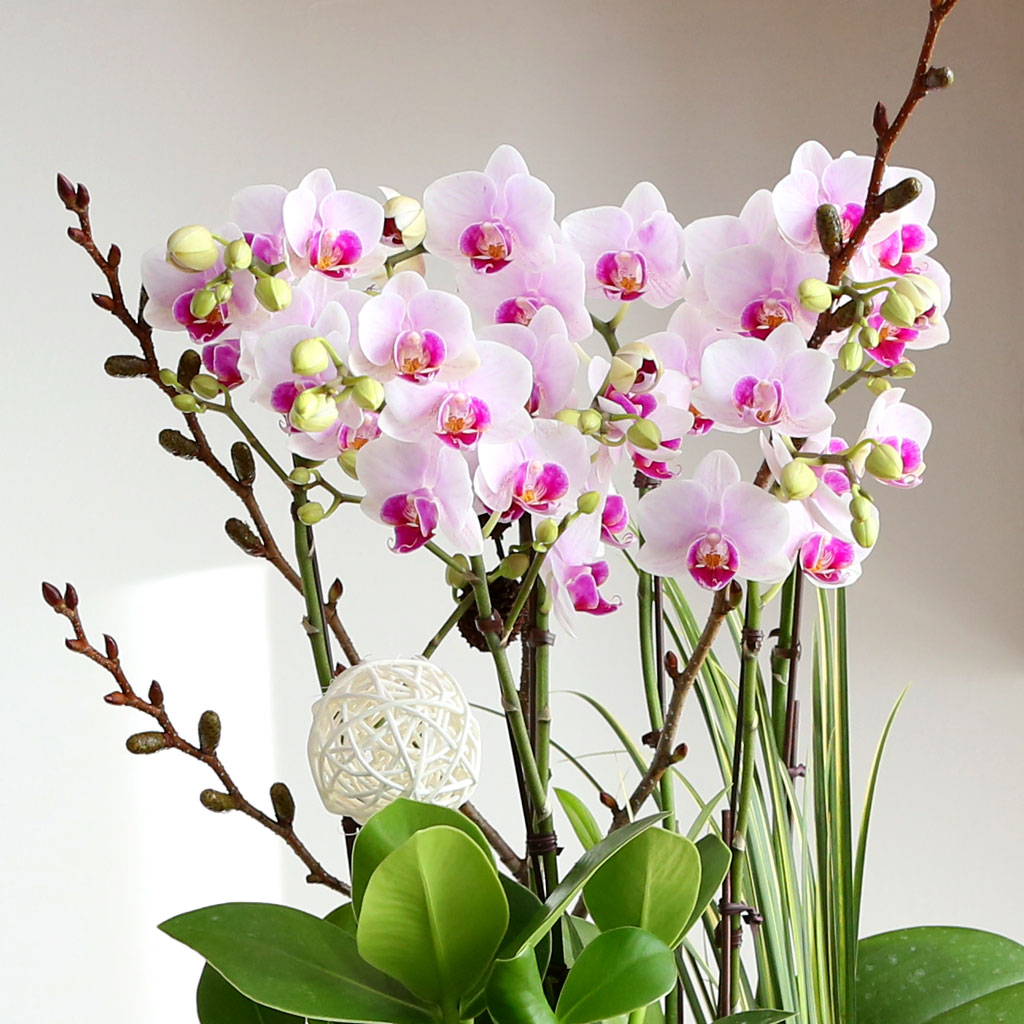 Office & Nature ŭ ȣ Ʋ  ɹ