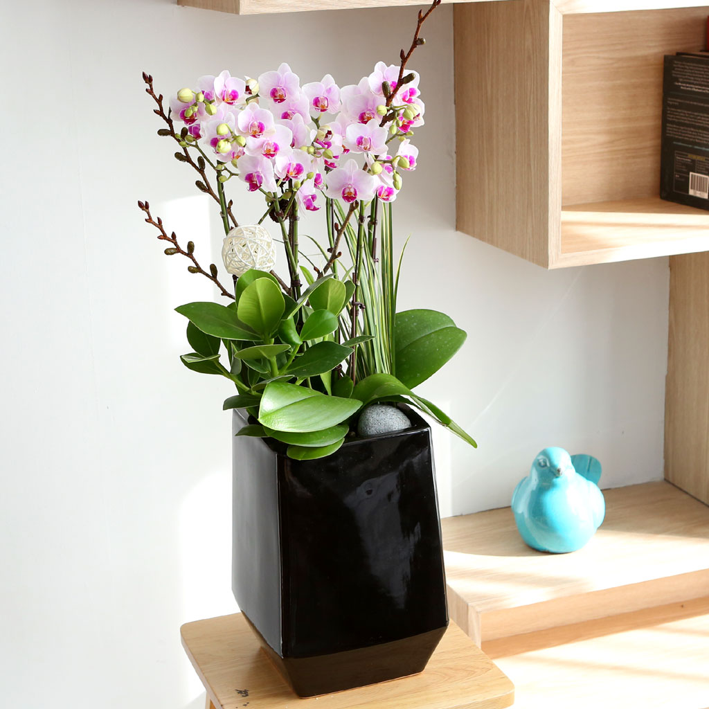 Office & Nature ŭ ȣ Ʋ  ɹ