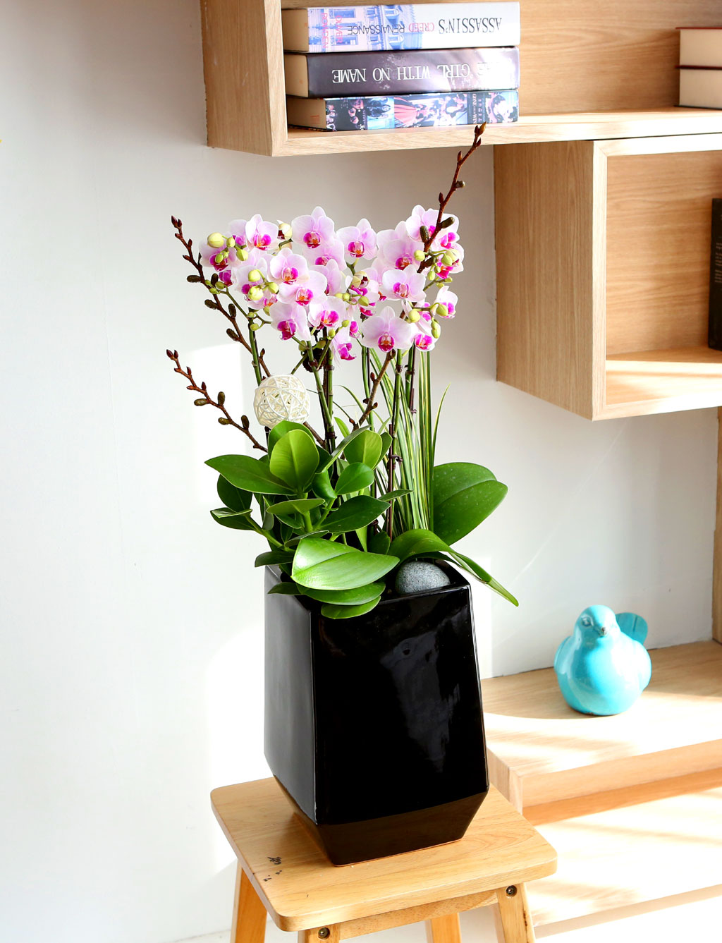 Office & Nature ŭ ȣ Ʋ  ɹ