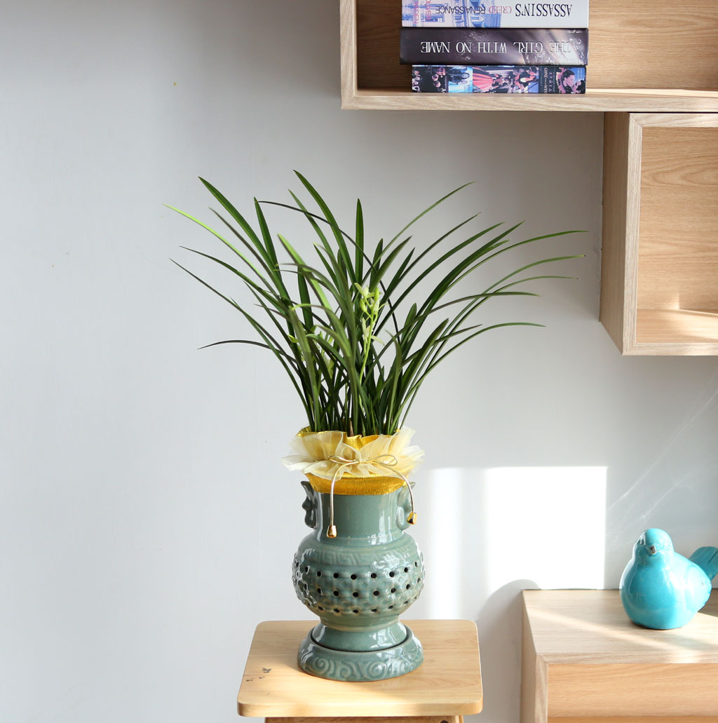 ½ÂÁø ¿µÀüÀ» ÃàÇÏÇÕ´Ï´Ù - ö°ñ¼Ò½É