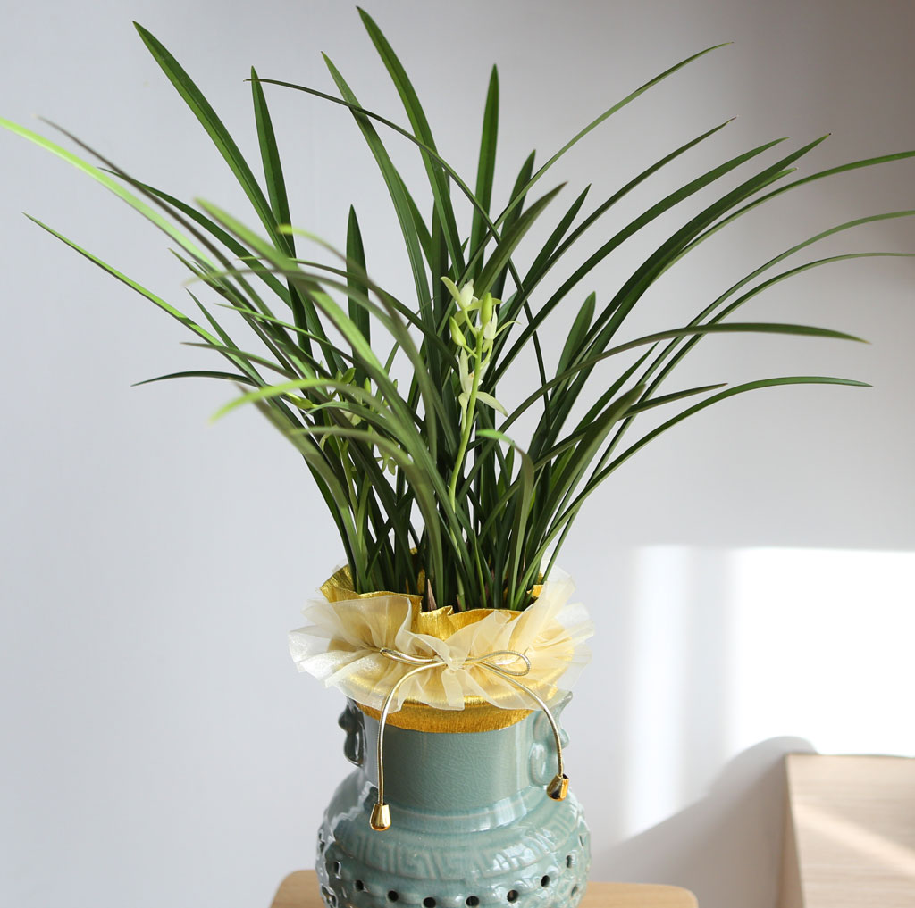 ½ÂÁø ¿µÀüÀ» ÃàÇÏÇÕ´Ï´Ù - ö°ñ¼Ò½É