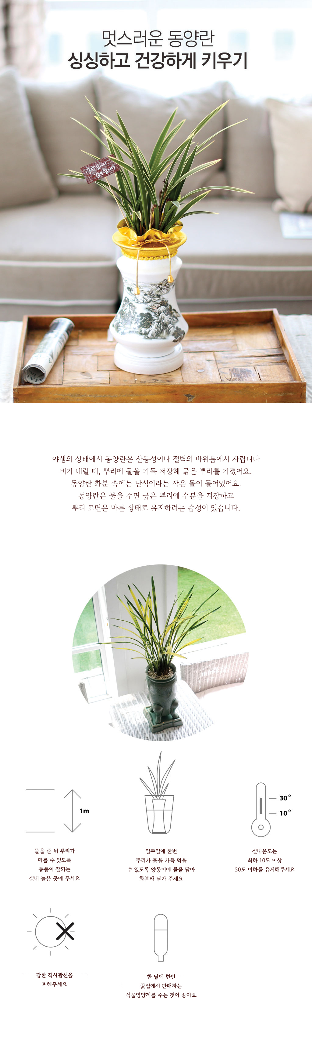 ½ÂÁø ¿µÀüÀ» ÃàÇÏÇÕ´Ï´Ù - ö°ñ¼Ò½É