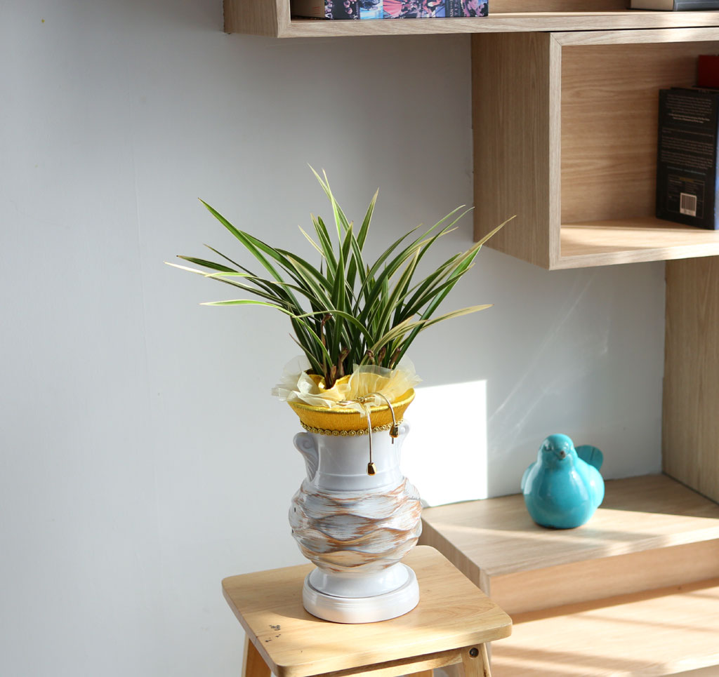 ¸íǰµ¿¾ç¶õ - Ȳ·æ°ü ²ÉÁý ²É¹è´Þ