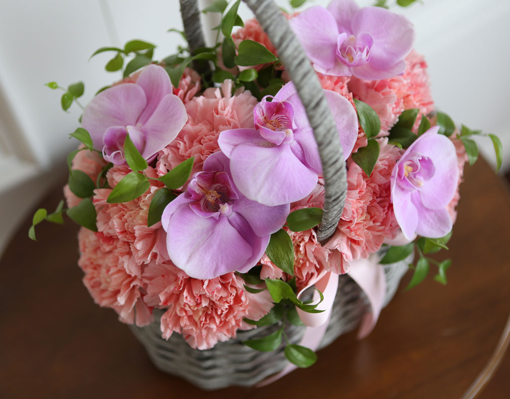 ,   - Lovely day  ɹ