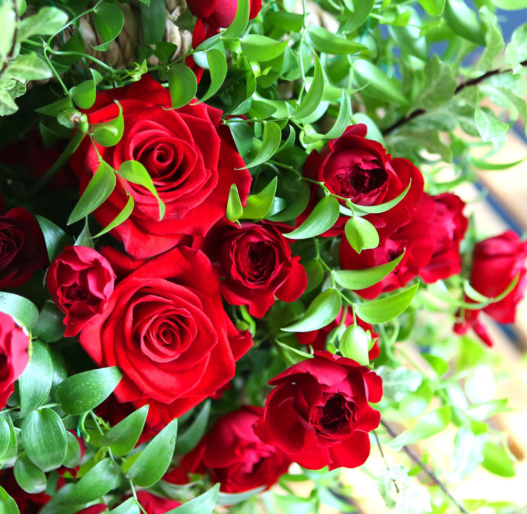 spring & sweet  5   ɹ