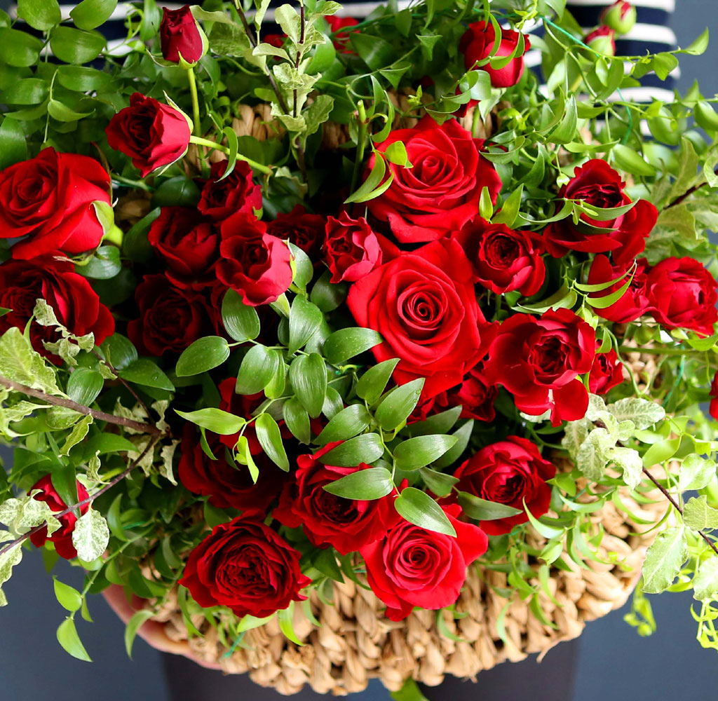 spring & sweet  5   ɹ