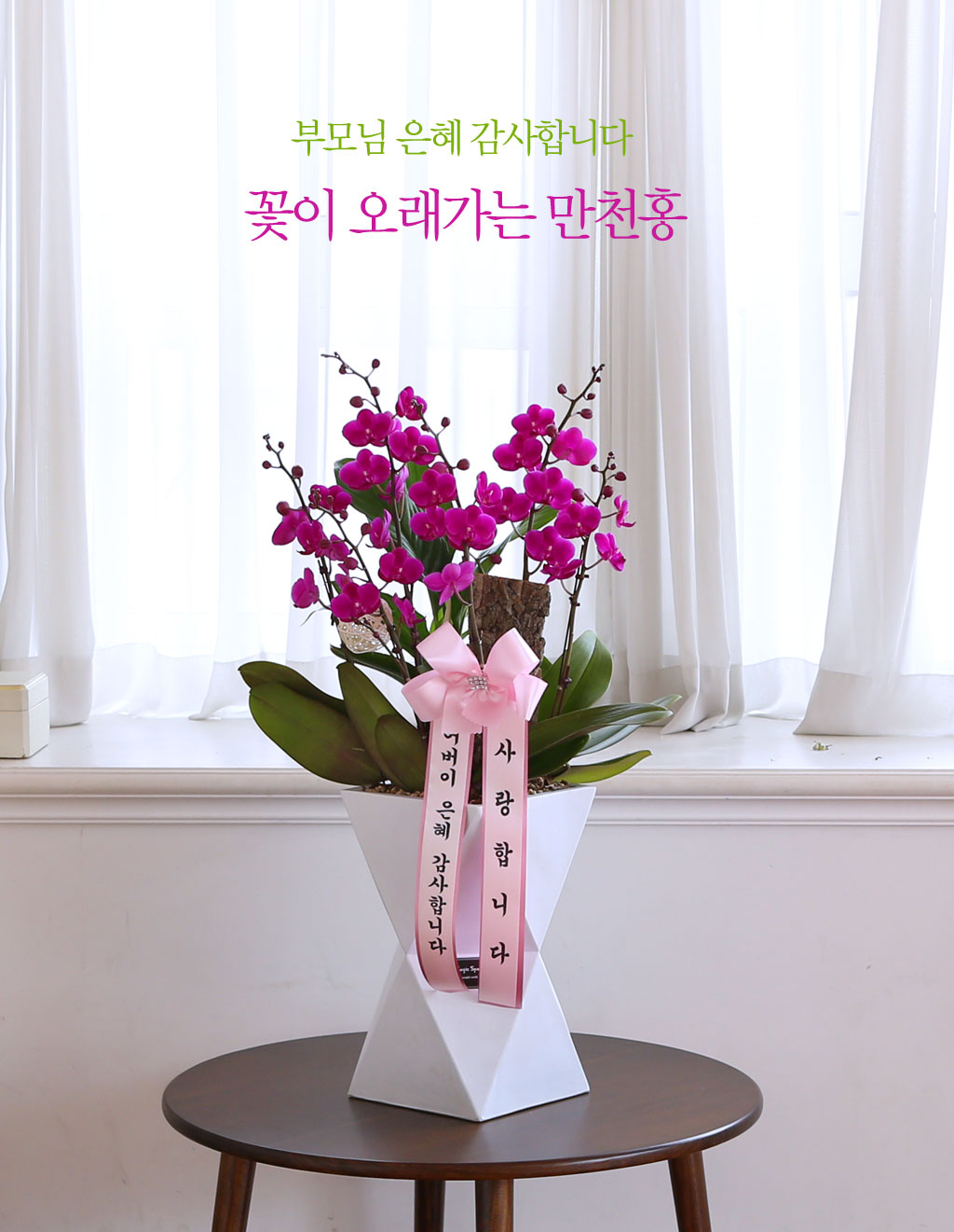 [/]-    -   õȫ(ȭ⺯)  ɹ