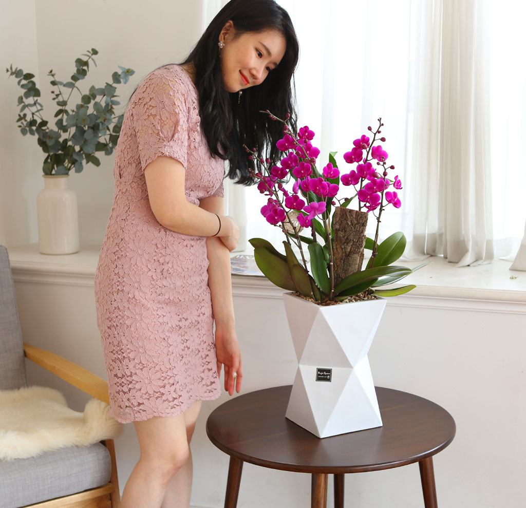 [/]-    -   õȫ(ȭ⺯)  ɹ