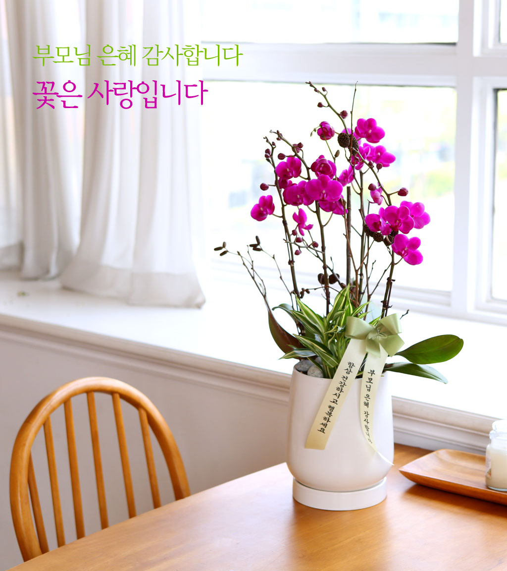 []   - õȫ () (ȭ⺯)  ɹ