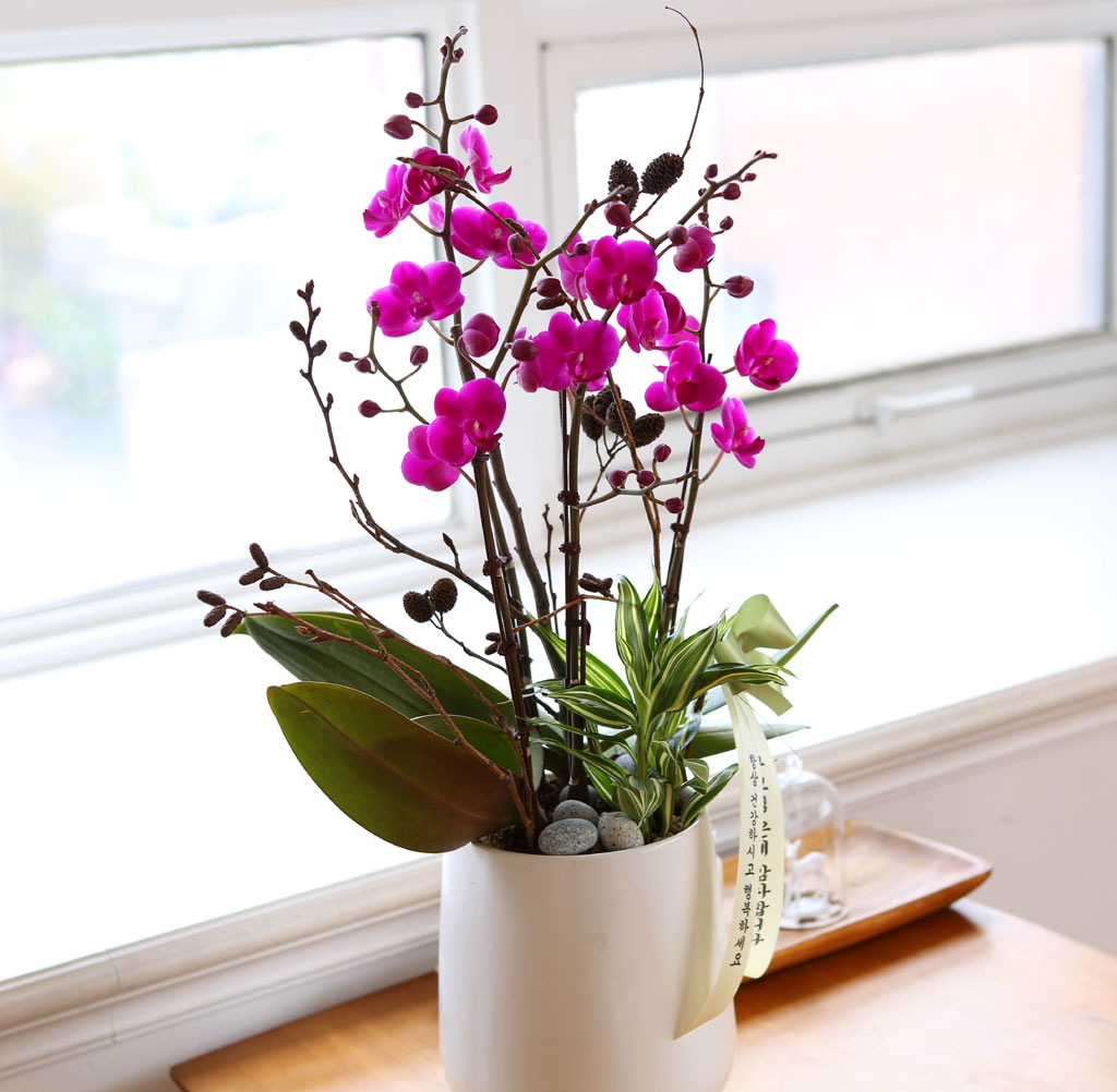 []   - õȫ () (ȭ⺯)  ɹ