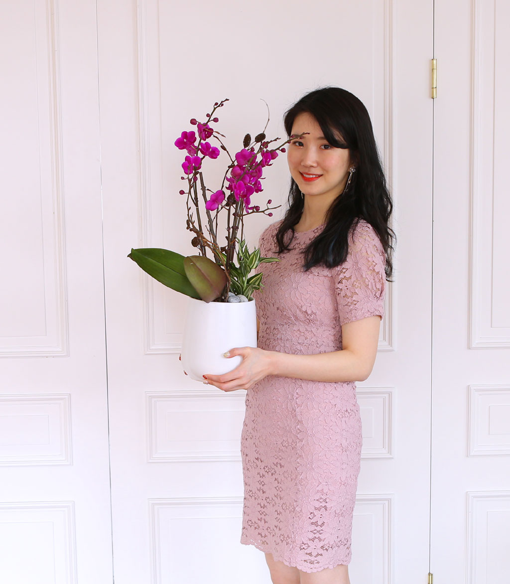 []   - õȫ () (ȭ⺯)  ɹ