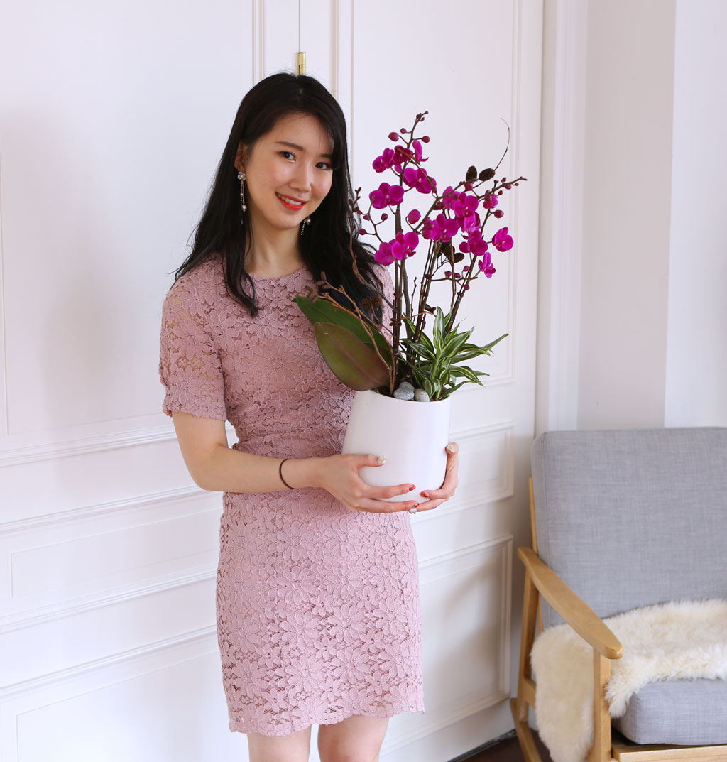 []   - õȫ () (ȭ⺯)  ɹ