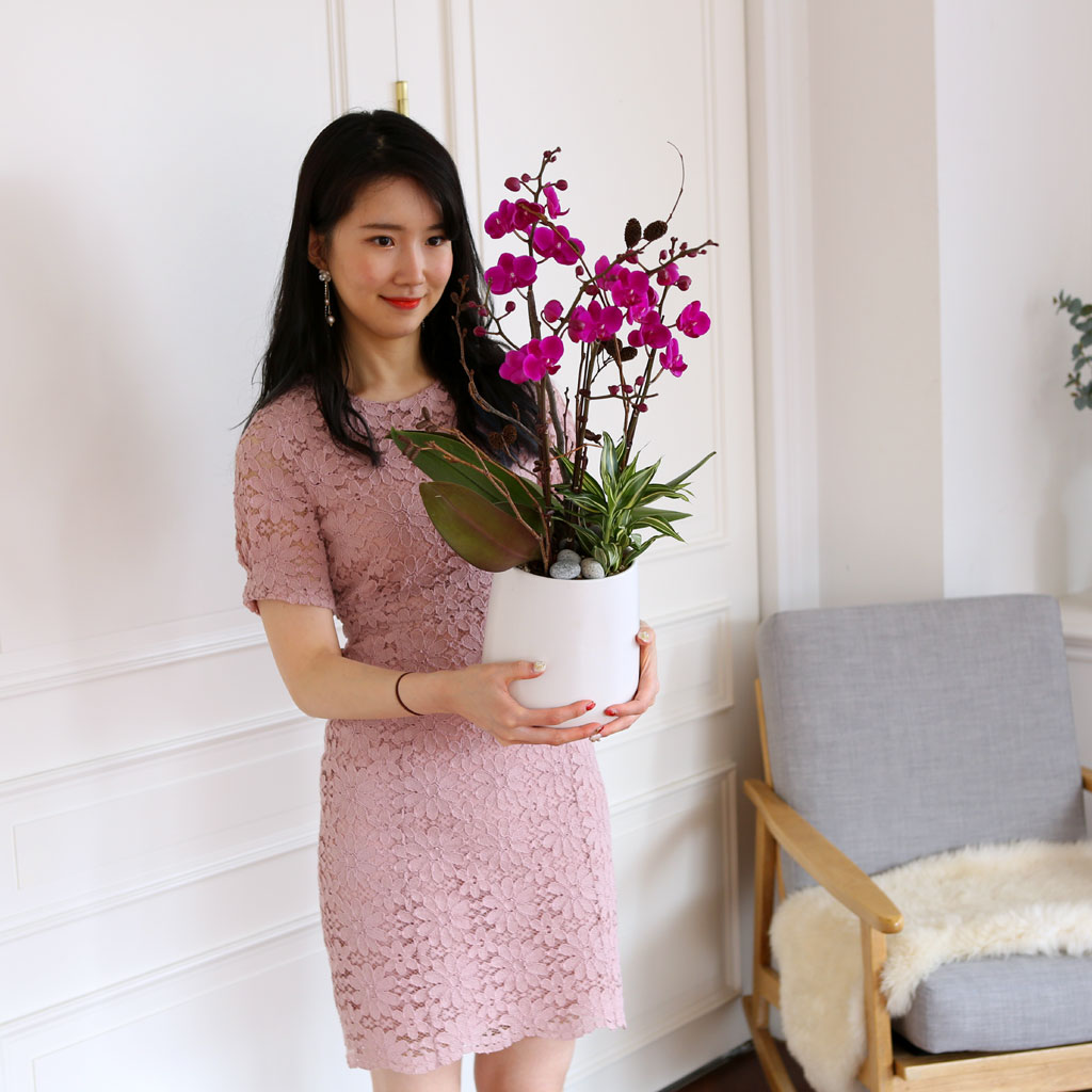 []   - õȫ () (ȭ⺯)  ɹ