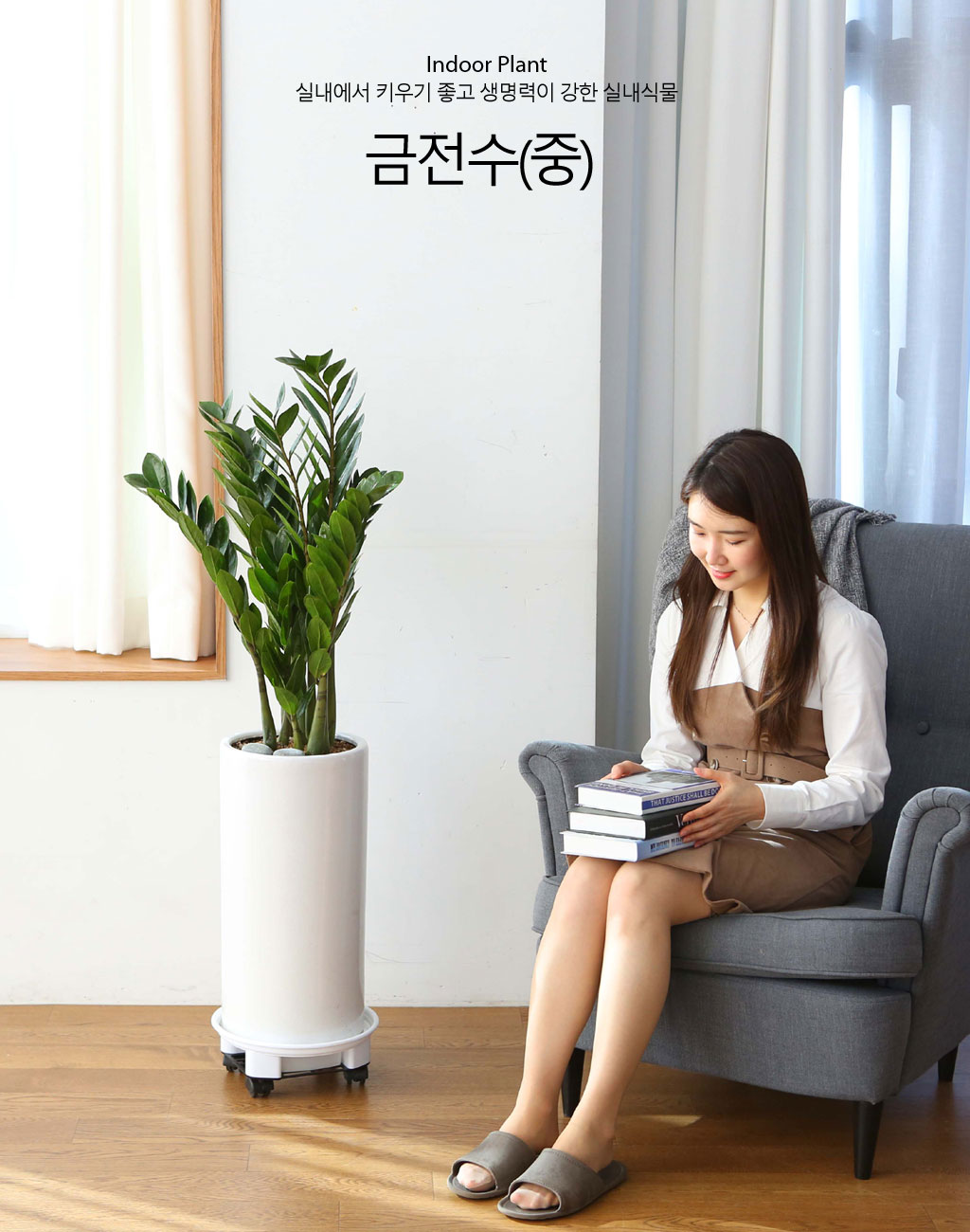 ǳ Ű    Ĺ - ()  ɹ