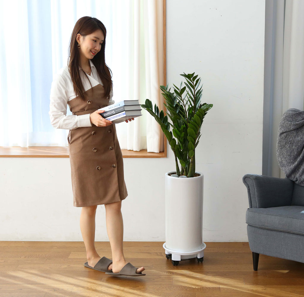 ǳ Ű    Ĺ - ()  ɹ