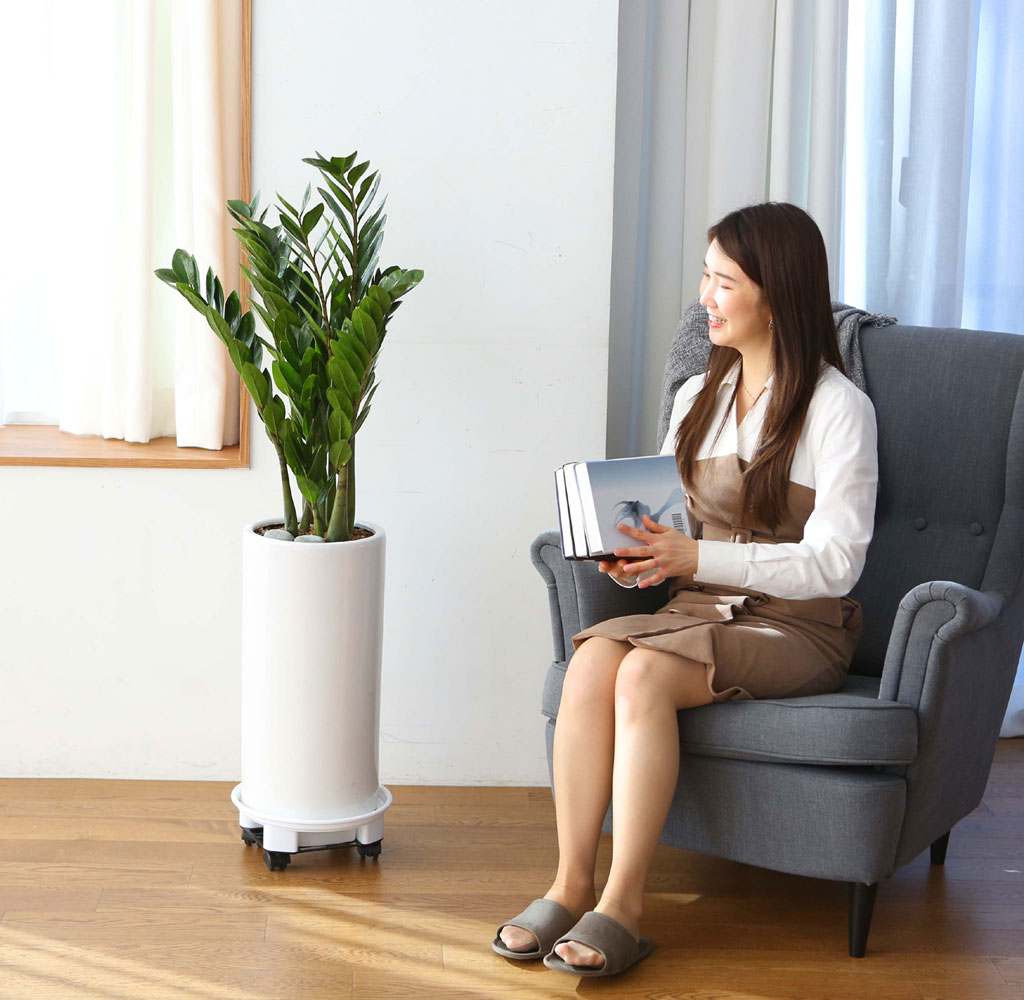 ǳ Ű    Ĺ - ()  ɹ