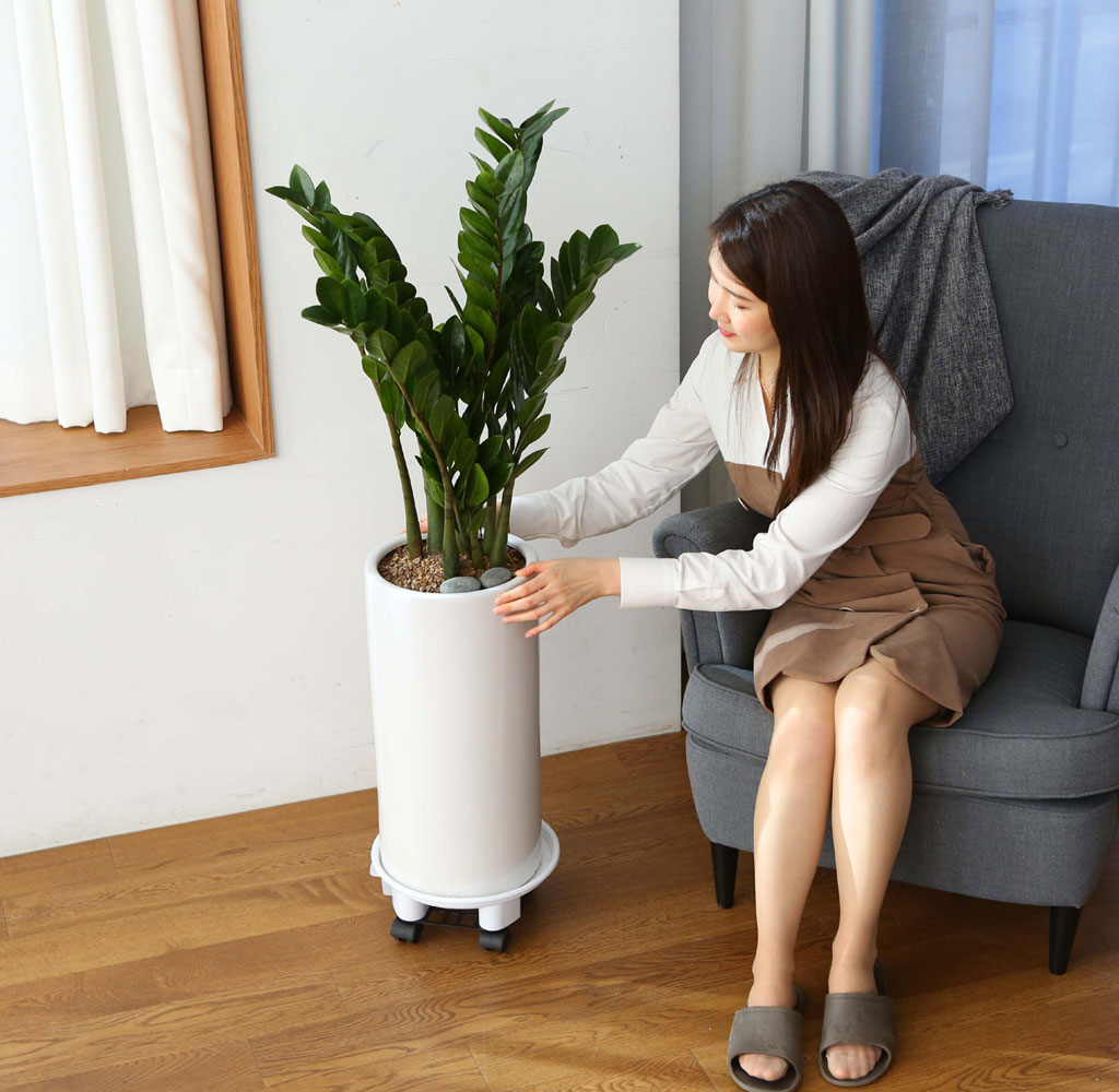 ǳ Ű    Ĺ - ()  ɹ