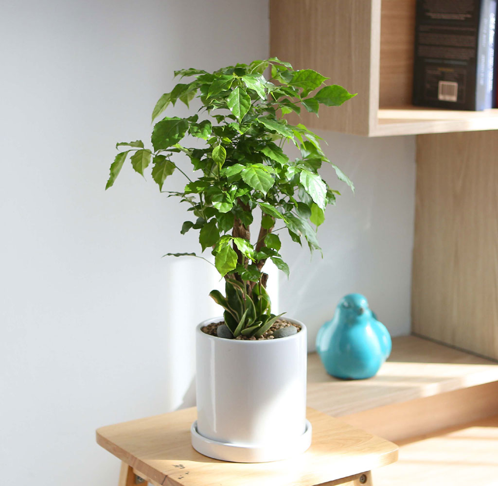 []ǳ Ű    캸 ̺(ȭ⺯)