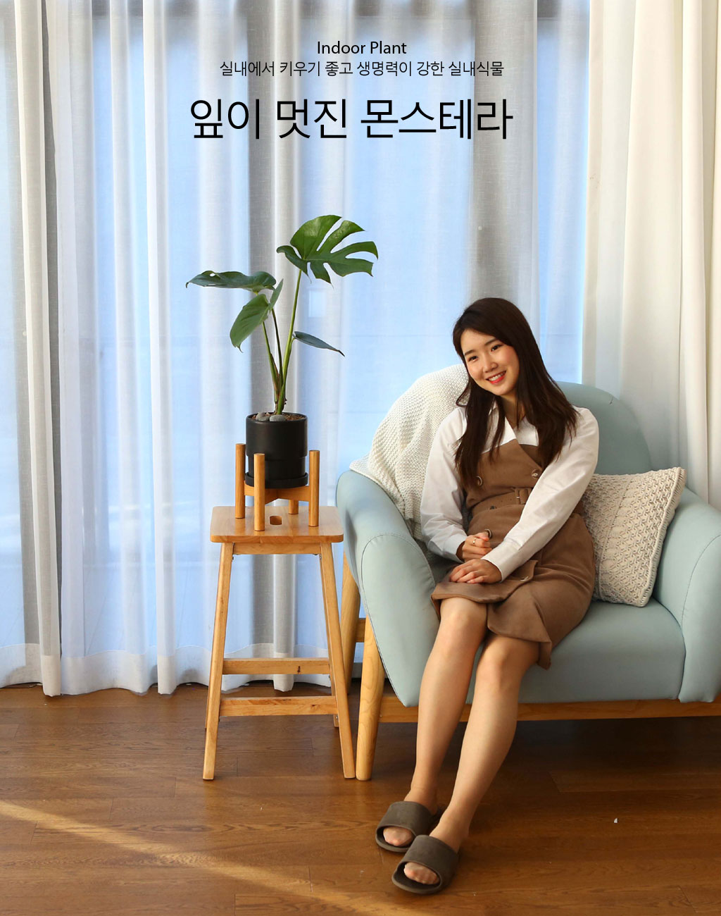 ½Ç³»¿¡¼ Ű¿ì±â ÁÁ°í »ý¸í·ÂÀÌ °ÇÑ ½Ä¹° - ¾Æ¸§´Ù¿î ¸ó½ºÅ׸®¾Æ ²ÉÁý ²É¹è´Þ