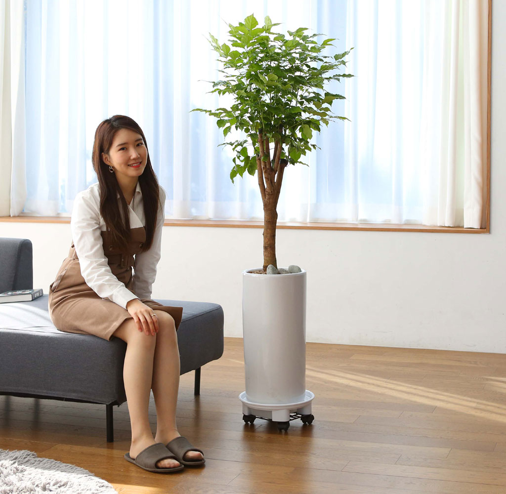 ½Ç³»¿¡¼ Ű¿ì±â ÁÁ°í »ý¸í·Â °ÇÑ ½Ä¹° - Çູ³ª¹«