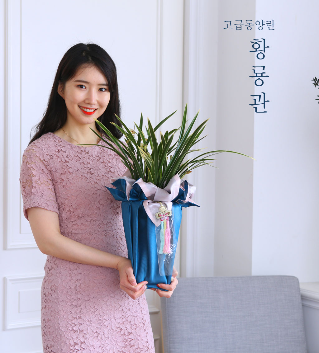 (︸ )  ڱ  -   Ȳ  ɹ