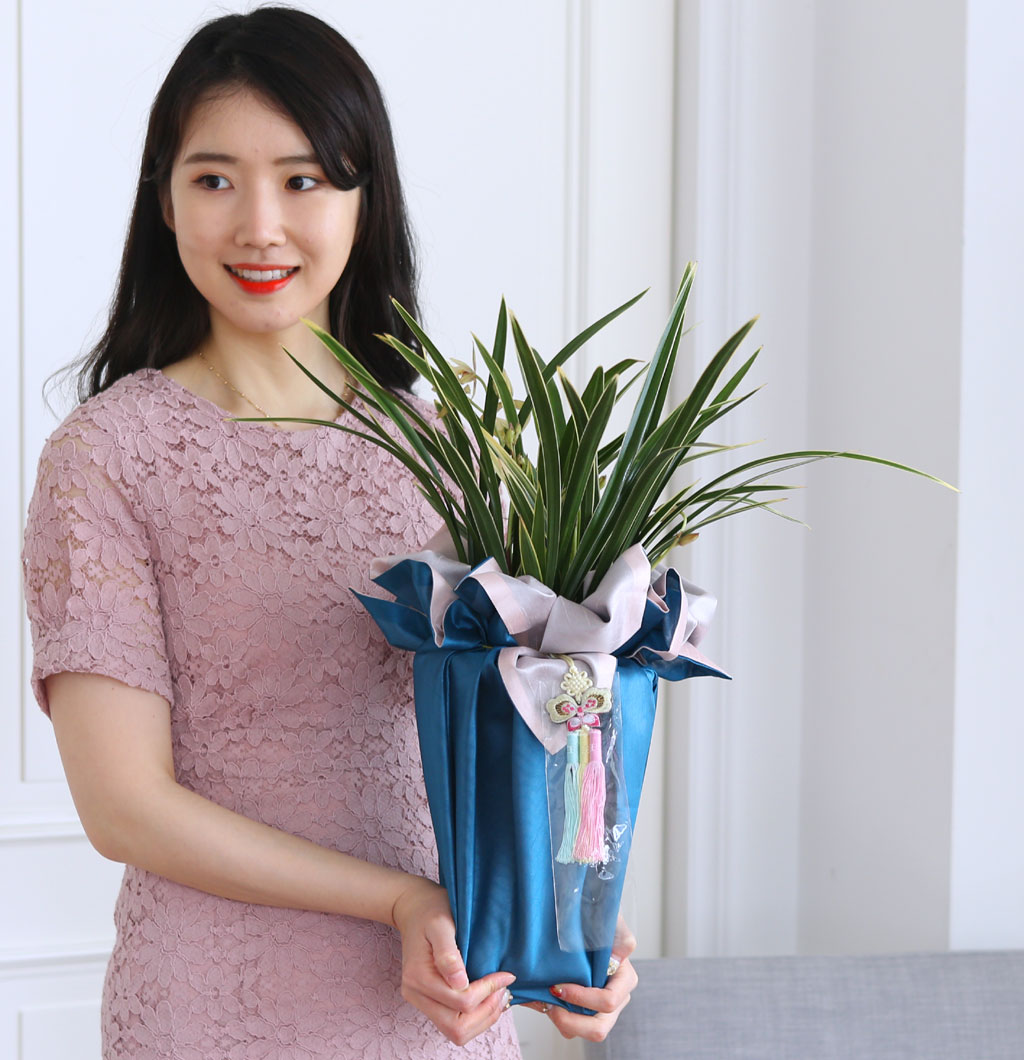 (︸ )  ڱ  -   Ȳ  ɹ