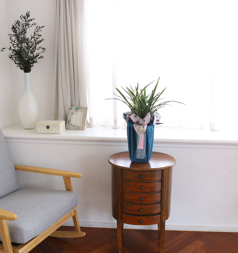 (︸ )  ڱ  -   Ȳ  ɹ