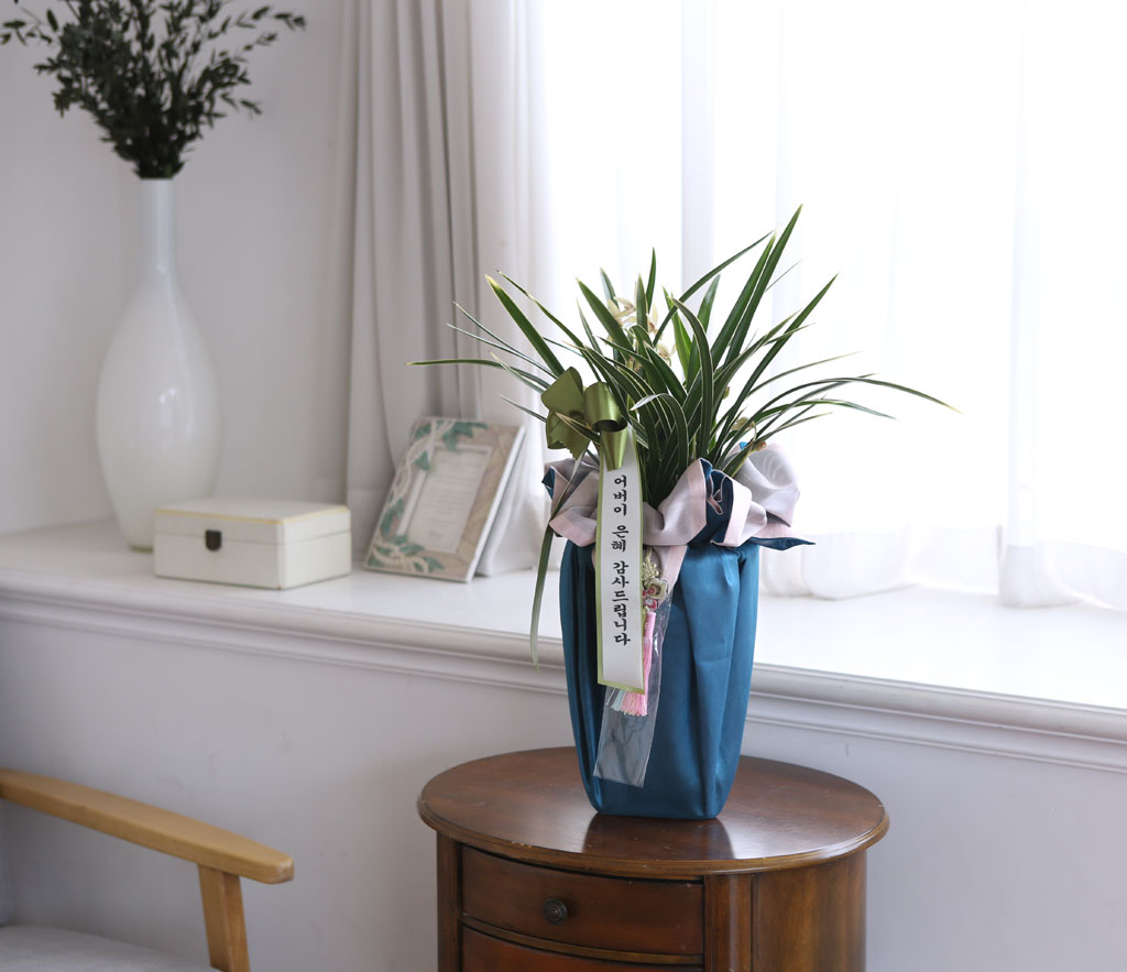 (︸ )  ڱ  -   Ȳ  ɹ