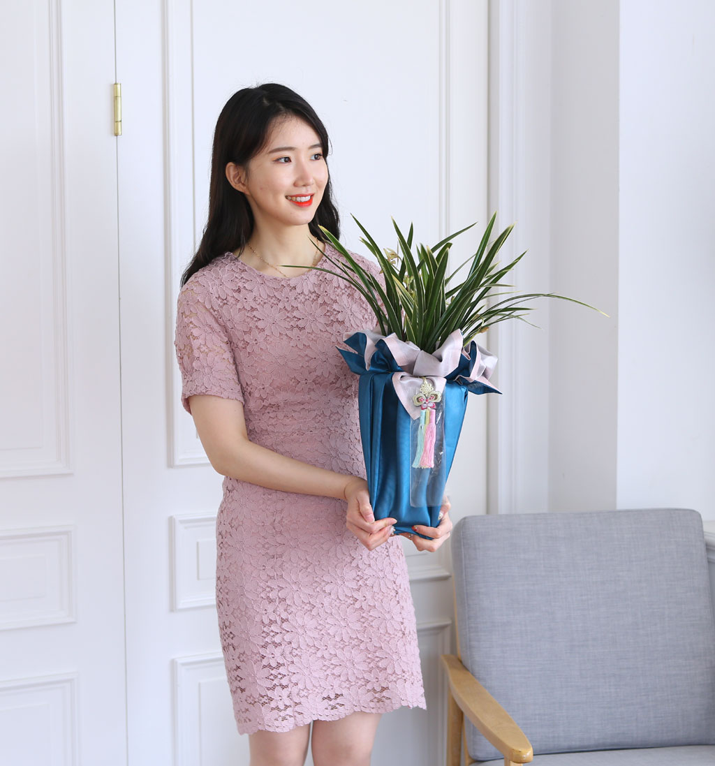 (︸ )  ڱ  -   Ȳ  ɹ