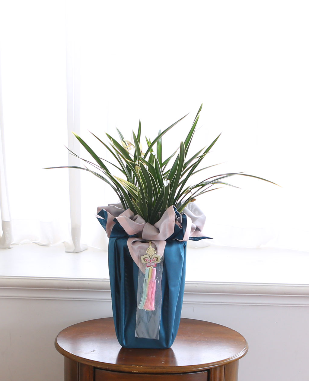 (︸ )  ڱ  -   Ȳ  ɹ