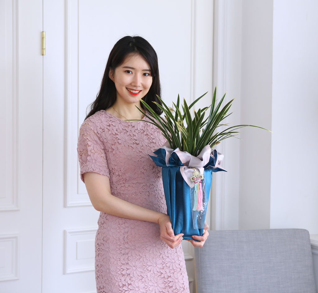 (︸ )  ڱ  -   Ȳ  ɹ