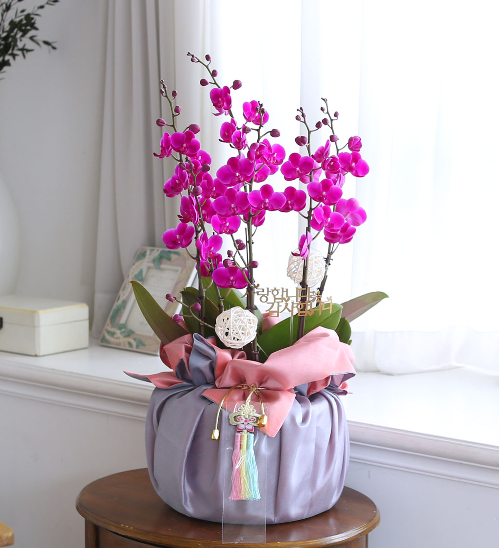 [/]   ڱ  - õȫ ()  ɹ